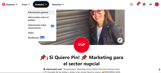 pinterest_analytics-secciones